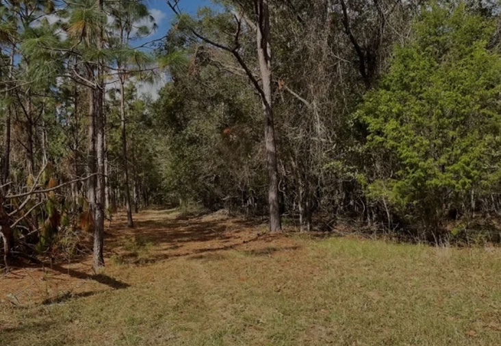 Recreational Property Services