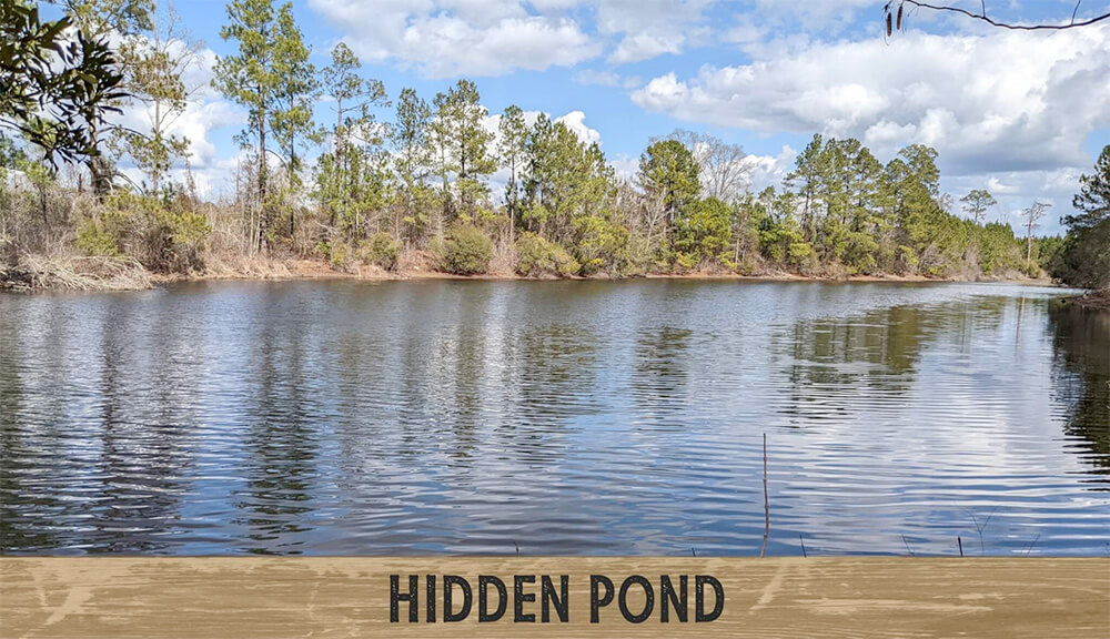 Hidden-Pond-324919.jpg